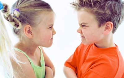 El conflicto escolar como oportunidad educativa